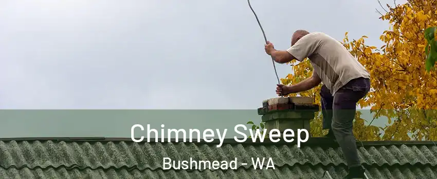 Chimney Sweep Bushmead - WA