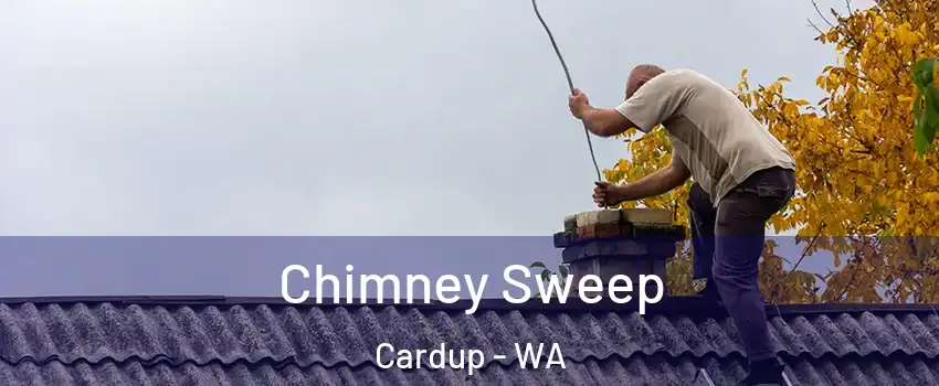 Chimney Sweep Cardup - WA