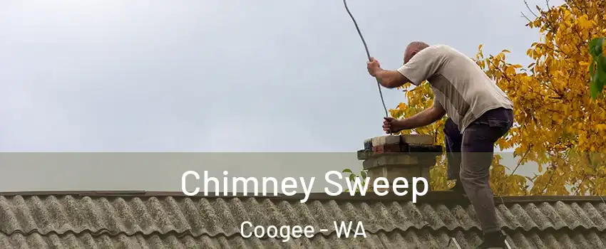 Chimney Sweep Coogee - WA