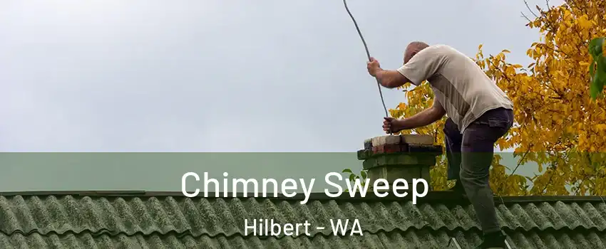 Chimney Sweep Hilbert - WA
