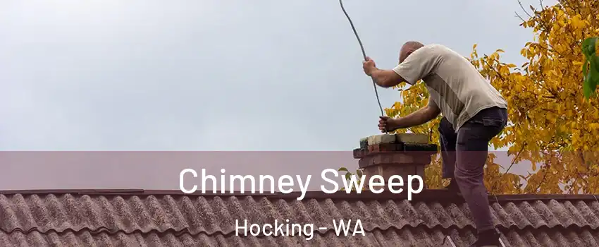 Chimney Sweep Hocking - WA