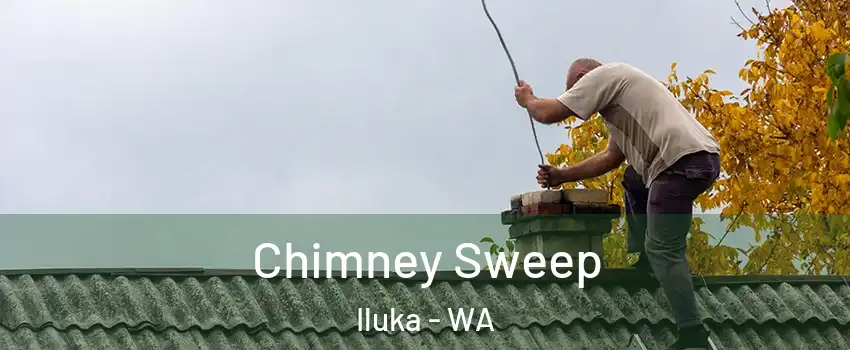 Chimney Sweep Iluka - WA