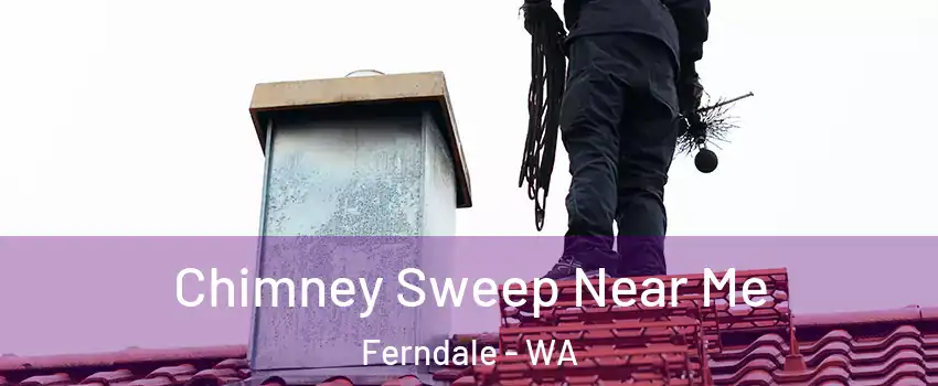 Chimney Sweep Near Me Ferndale - WA