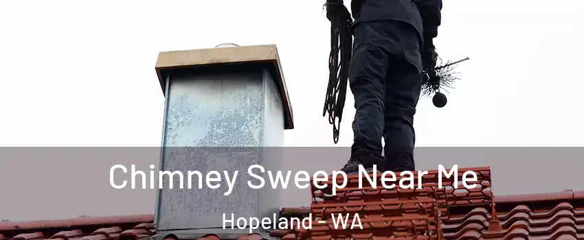 Chimney Sweep Near Me Hopeland - WA