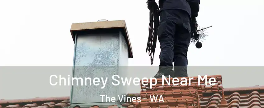 Chimney Sweep Near Me The Vines - WA