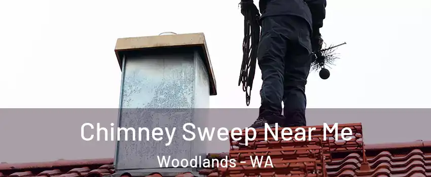 Chimney Sweep Near Me Woodlands - WA