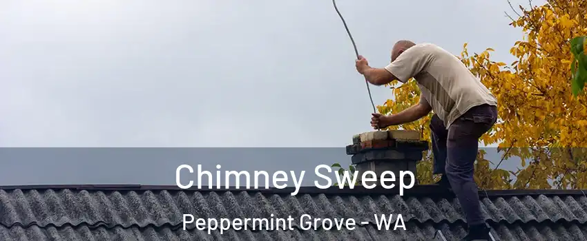 Chimney Sweep Peppermint Grove - WA