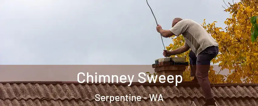 Chimney Sweep Serpentine - WA