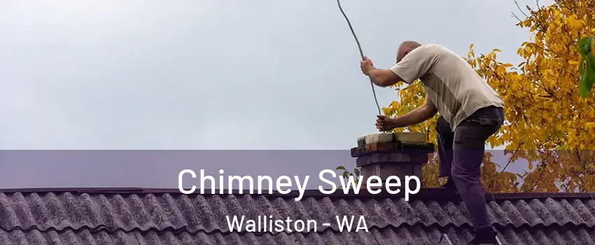 Chimney Sweep Walliston - WA
