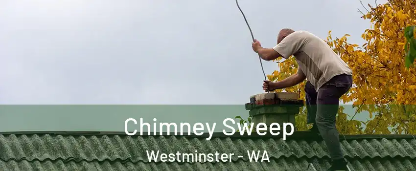 Chimney Sweep Westminster - WA
