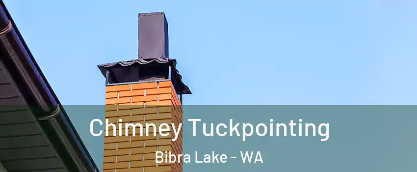 Chimney Tuckpointing Bibra Lake - WA