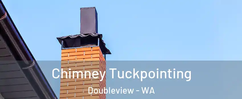 Chimney Tuckpointing Doubleview - WA