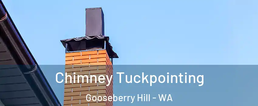 Chimney Tuckpointing Gooseberry Hill - WA