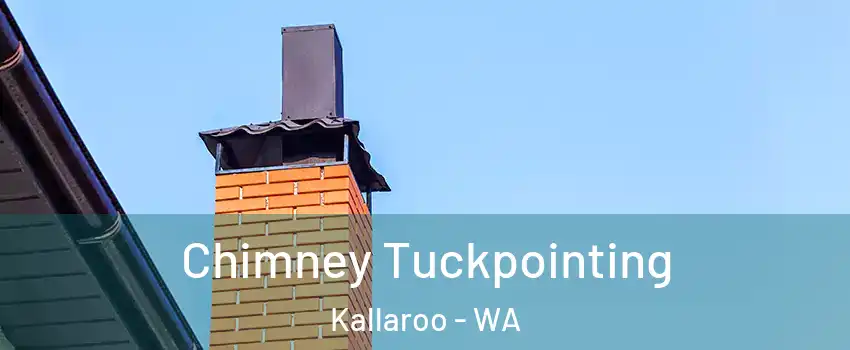Chimney Tuckpointing Kallaroo - WA