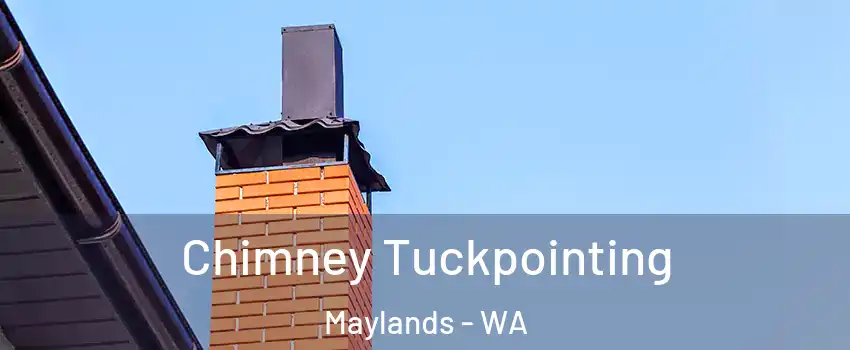 Chimney Tuckpointing Maylands - WA