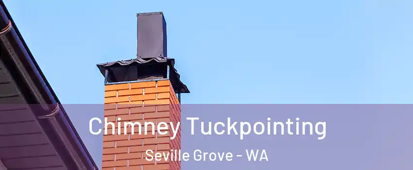 Chimney Tuckpointing Seville Grove - WA