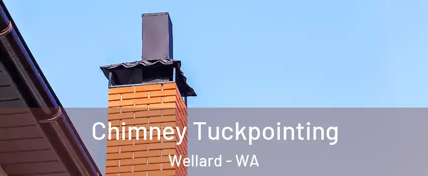 Chimney Tuckpointing Wellard - WA