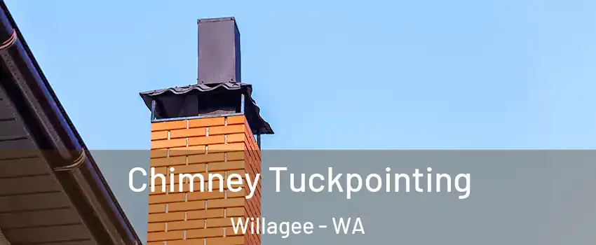 Chimney Tuckpointing Willagee - WA