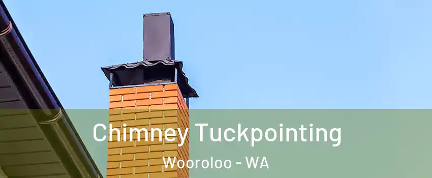 Chimney Tuckpointing Wooroloo - WA