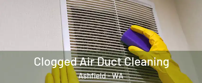 Clogged Air Duct Cleaning Ashfield - WA