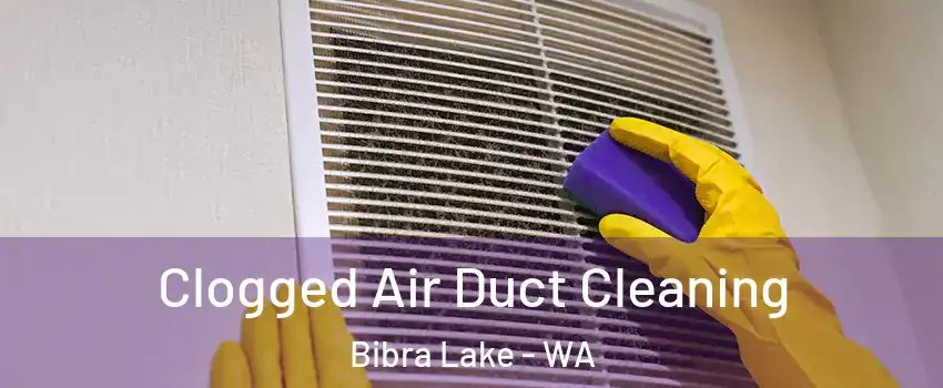 Clogged Air Duct Cleaning Bibra Lake - WA