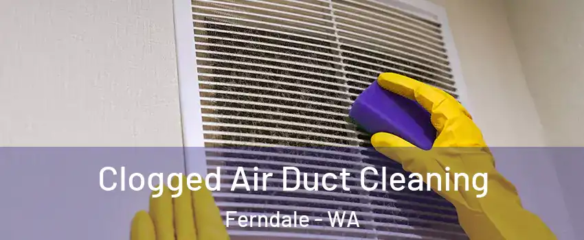 Clogged Air Duct Cleaning Ferndale - WA