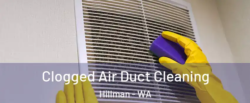 Clogged Air Duct Cleaning Hillman - WA