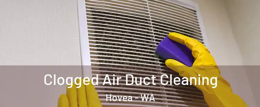 Clogged Air Duct Cleaning Hovea - WA
