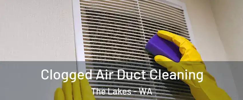 Clogged Air Duct Cleaning The Lakes - WA