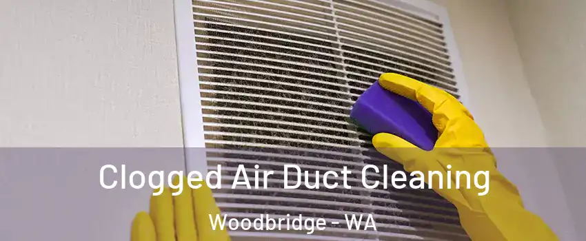 Clogged Air Duct Cleaning Woodbridge - WA