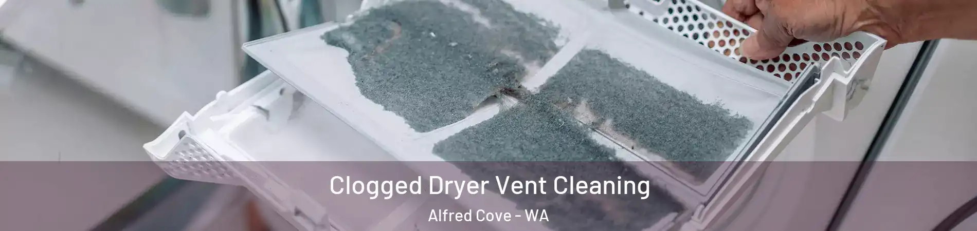 Clogged Dryer Vent Cleaning Alfred Cove - WA