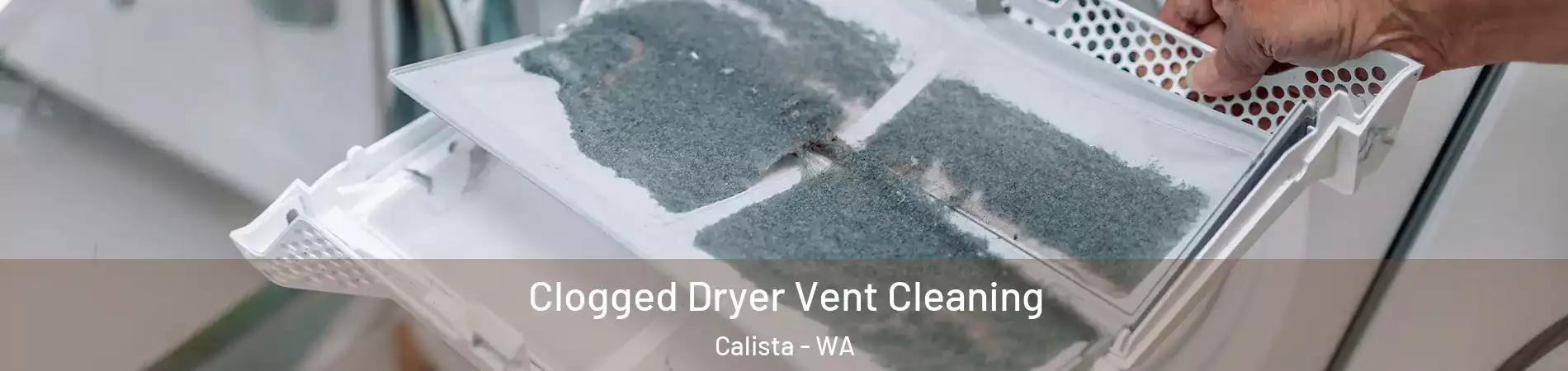 Clogged Dryer Vent Cleaning Calista - WA