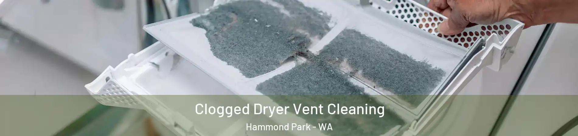 Clogged Dryer Vent Cleaning Hammond Park - WA