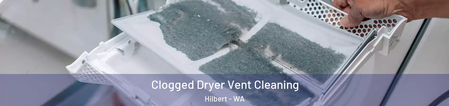 Clogged Dryer Vent Cleaning Hilbert - WA