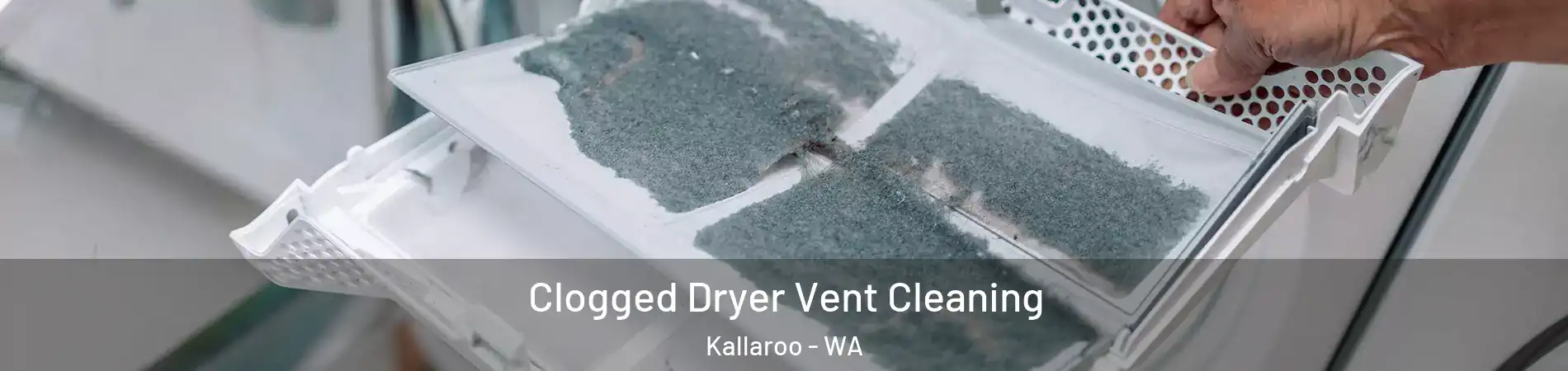 Clogged Dryer Vent Cleaning Kallaroo - WA