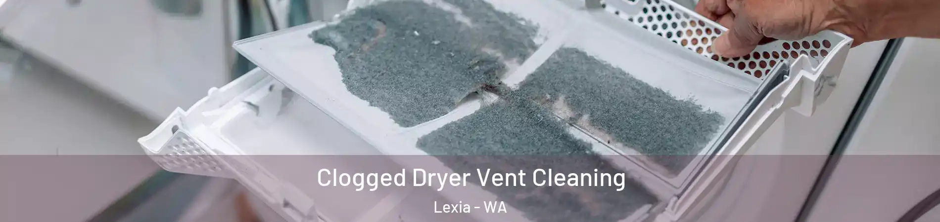 Clogged Dryer Vent Cleaning Lexia - WA