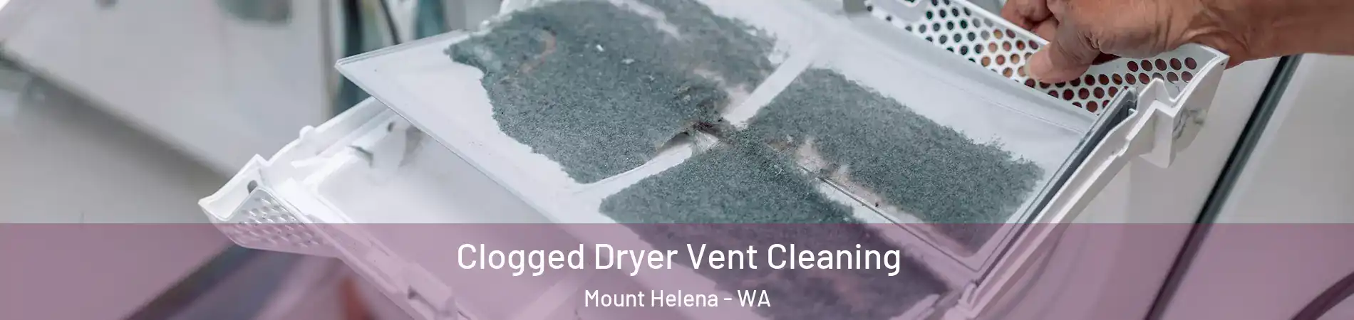 Clogged Dryer Vent Cleaning Mount Helena - WA