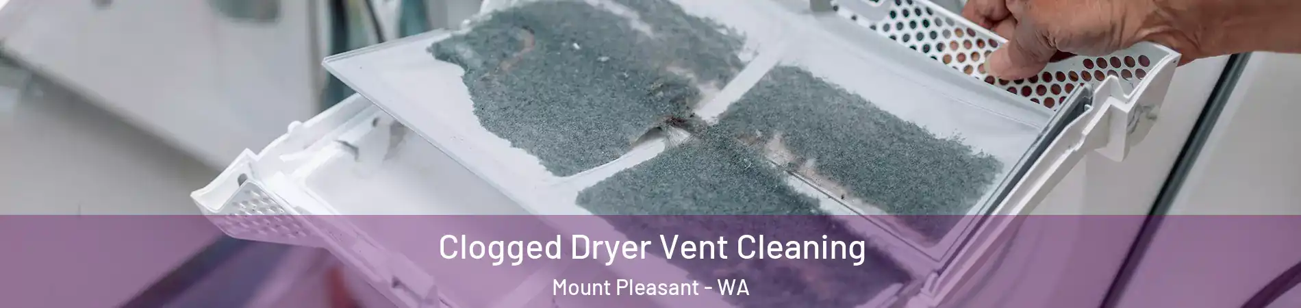 Clogged Dryer Vent Cleaning Mount Pleasant - WA