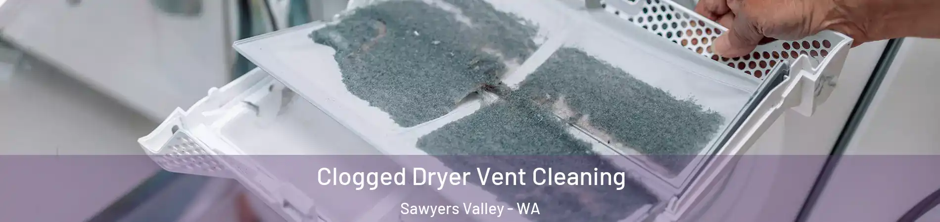 Clogged Dryer Vent Cleaning Sawyers Valley - WA