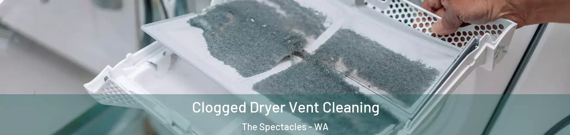 Clogged Dryer Vent Cleaning The Spectacles - WA