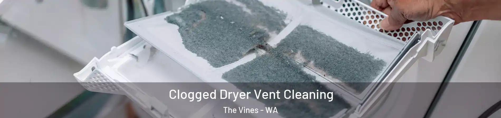 Clogged Dryer Vent Cleaning The Vines - WA