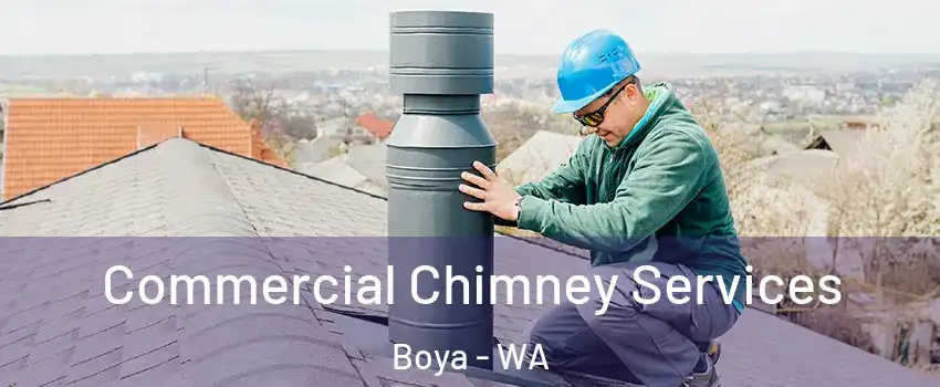 Commercial Chimney Services Boya - WA