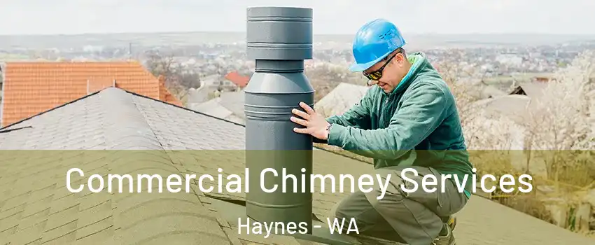 Commercial Chimney Services Haynes - WA