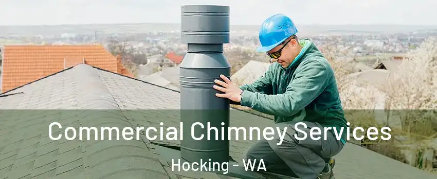 Commercial Chimney Services Hocking - WA