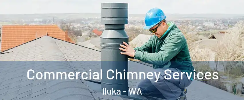 Commercial Chimney Services Iluka - WA