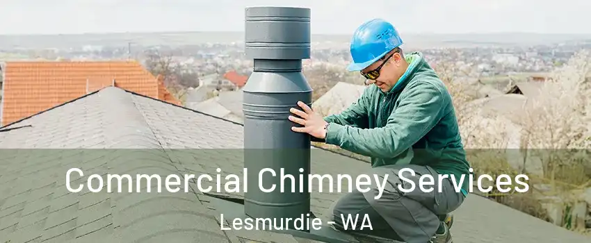 Commercial Chimney Services Lesmurdie - WA