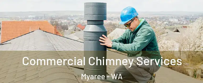 Commercial Chimney Services Myaree - WA