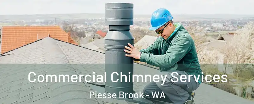 Commercial Chimney Services Piesse Brook - WA