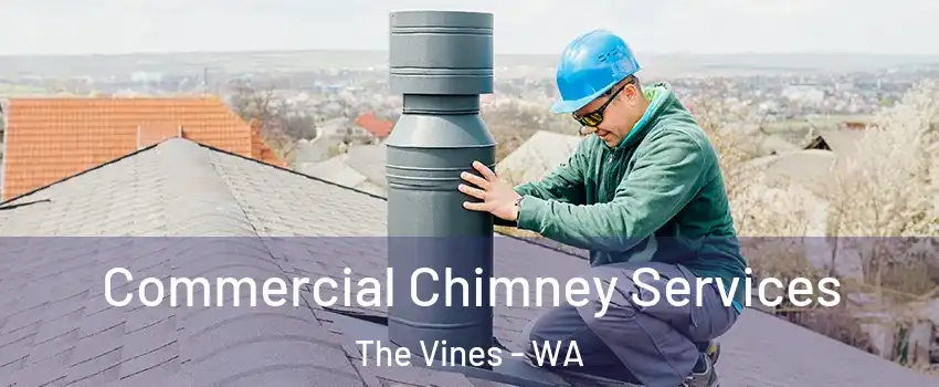 Commercial Chimney Services The Vines - WA