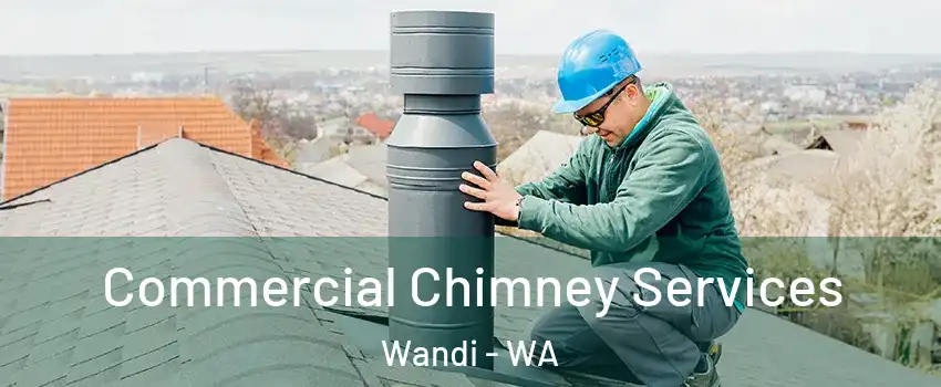 Commercial Chimney Services Wandi - WA